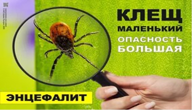 Сделайте прививку и защитите себя  от клещевого энцефалита!!!